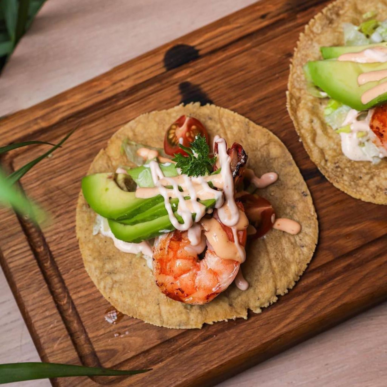 TACO FEST с 25 августа