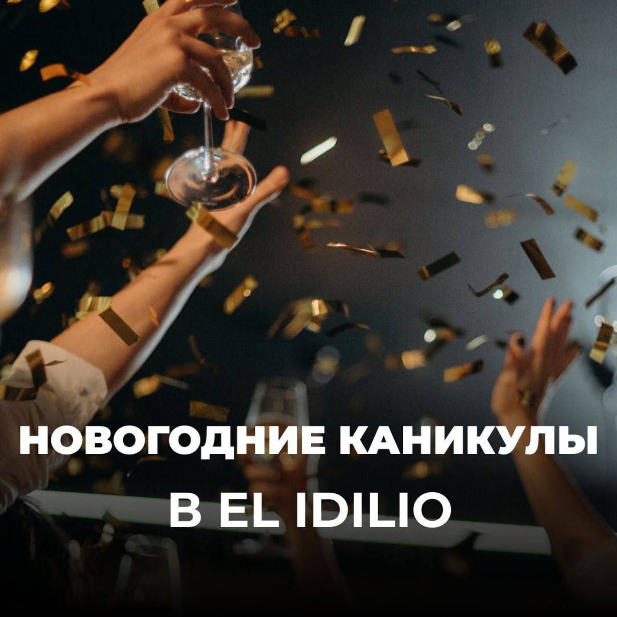 Новогодние каникулы в El Idilio уже на подходе!